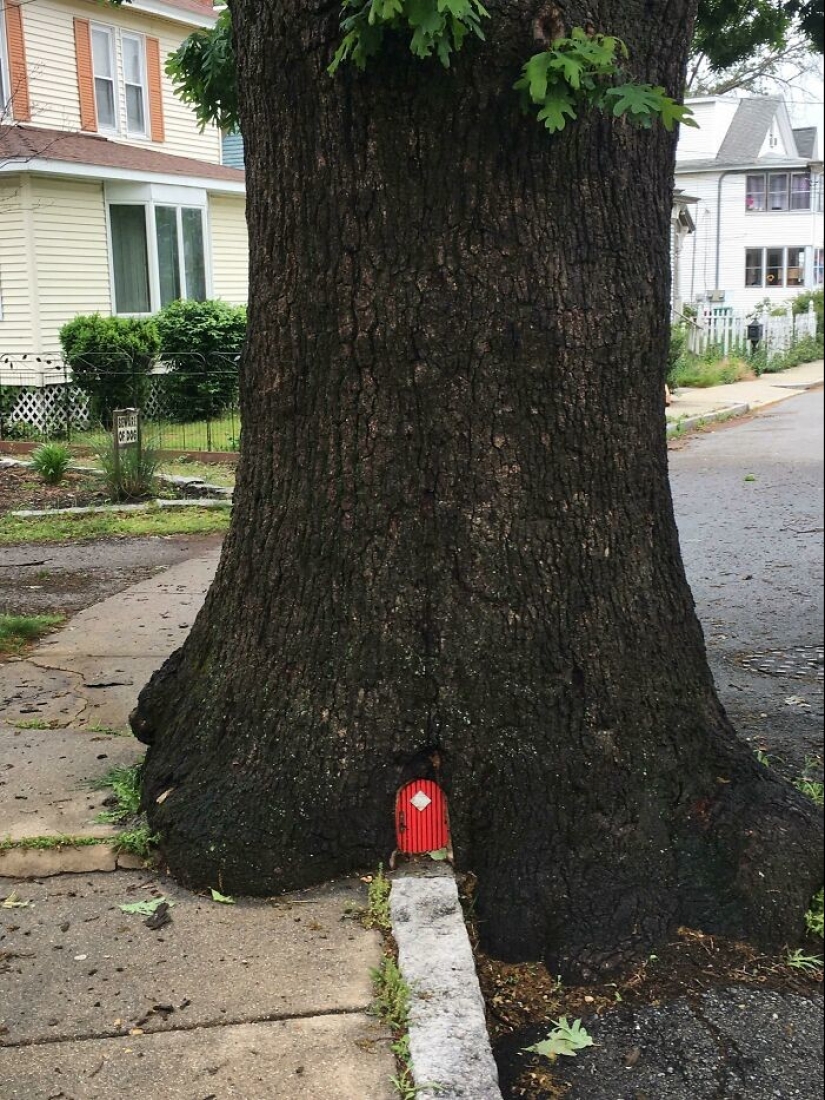 35 unexpected finds that people have shared online