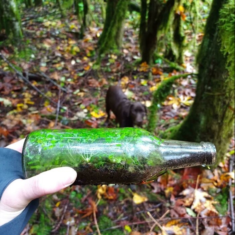 35 unexpected finds that people have shared online