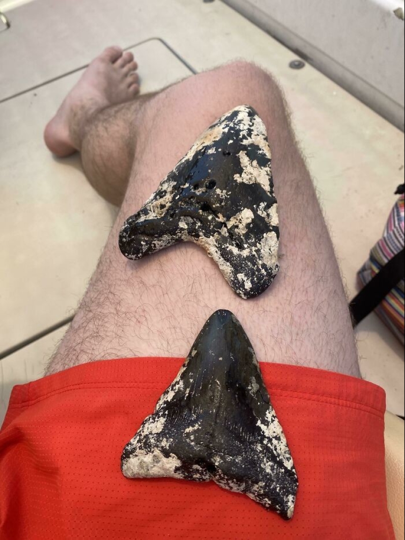 35 unexpected finds that people have shared online