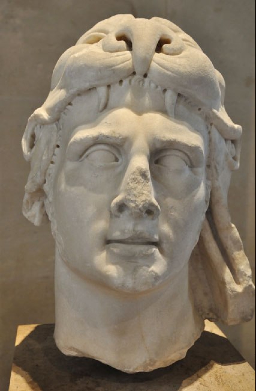 Es posible construir mi inmunidad a los venenos, teniendo en pequeñas dosis?