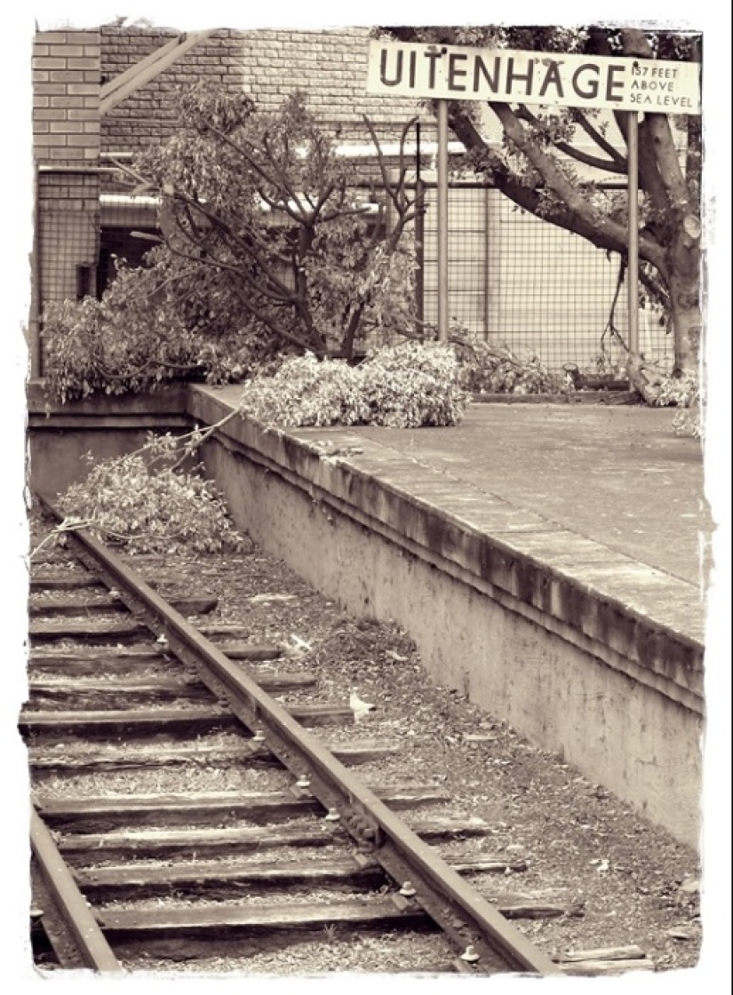 How the monkey officially worked on the railway How the monkey officially worked on the railway